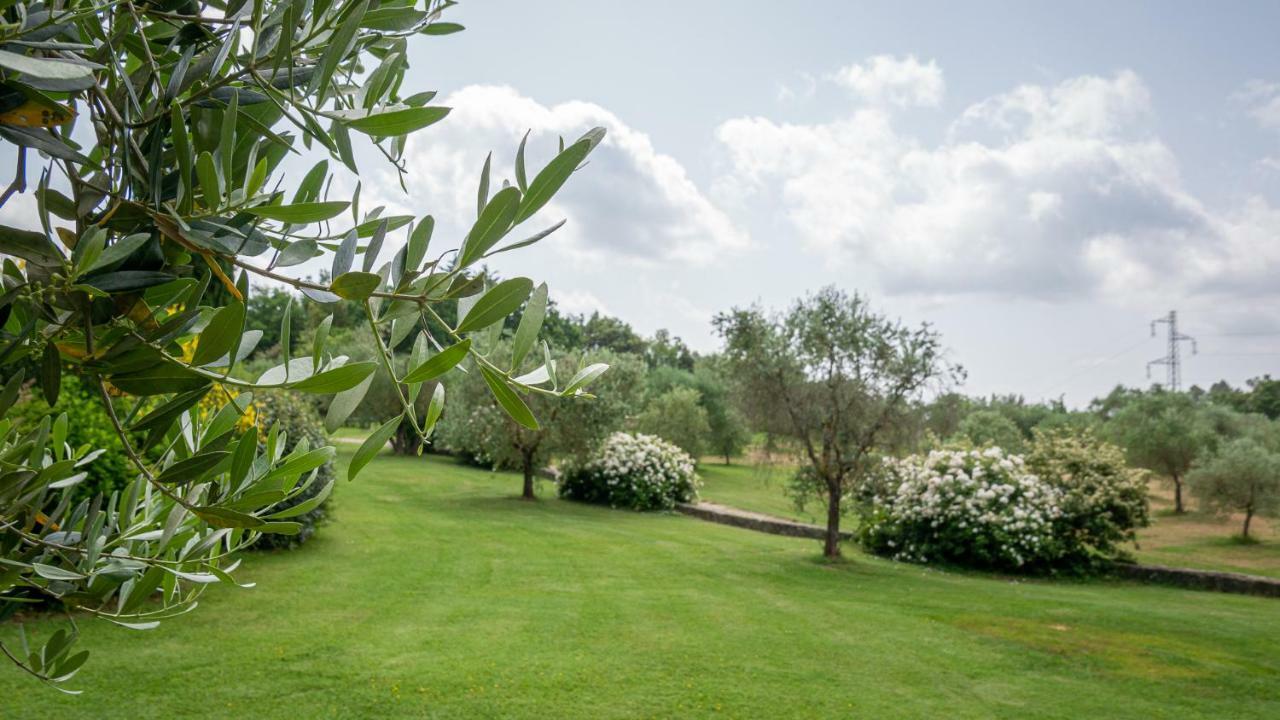 Aparthotel Poggio Al Palio San Lorenzo a Merse Zewnętrze zdjęcie