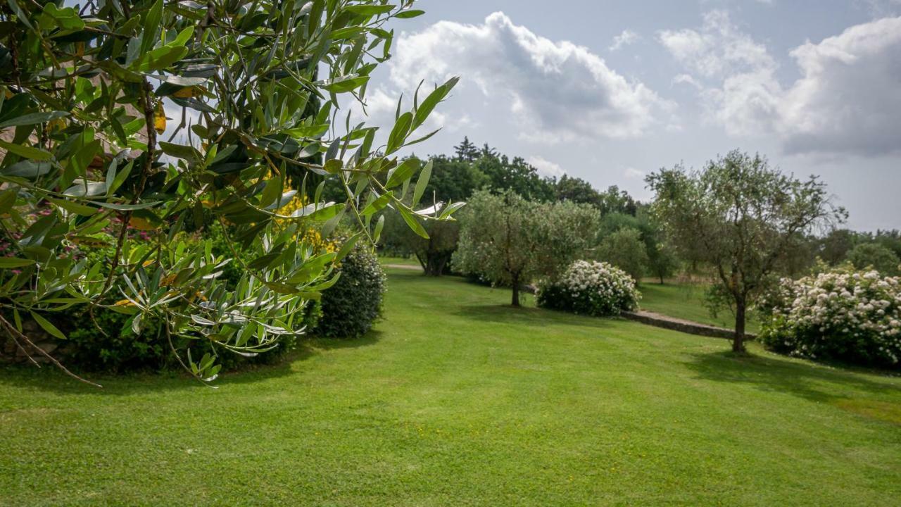 Aparthotel Poggio Al Palio San Lorenzo a Merse Zewnętrze zdjęcie